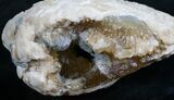 Crystal Filled Fossil Clam - Rucks Pit, FL #7862-2